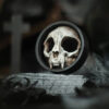 Cat Skull
