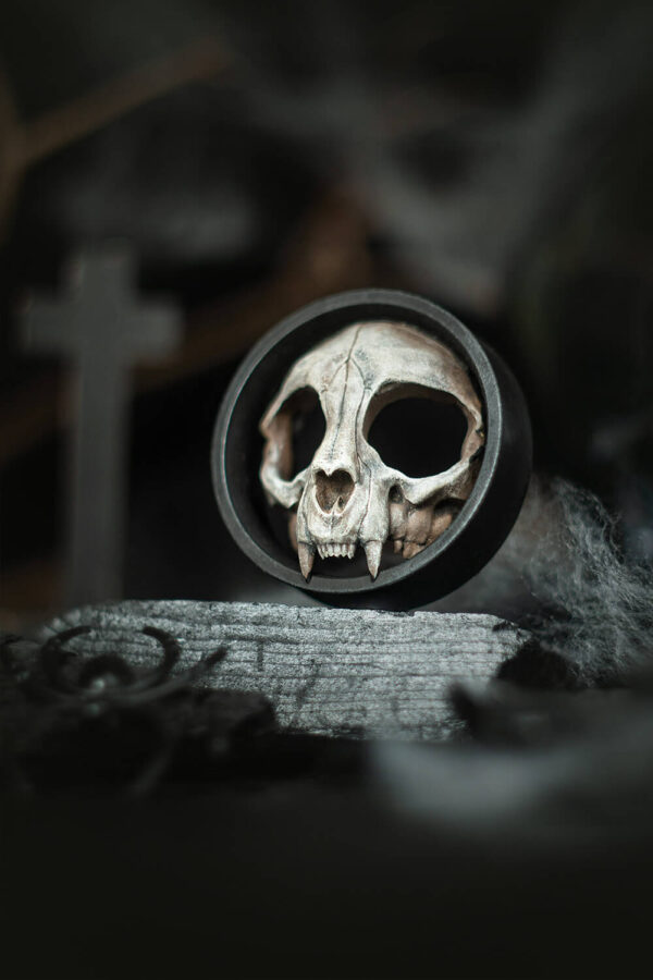 Cat Skull