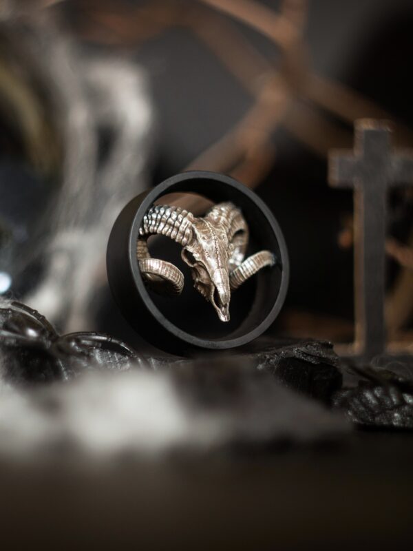Ram Skull - Image 8
