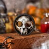 Cat Skull - Image 3