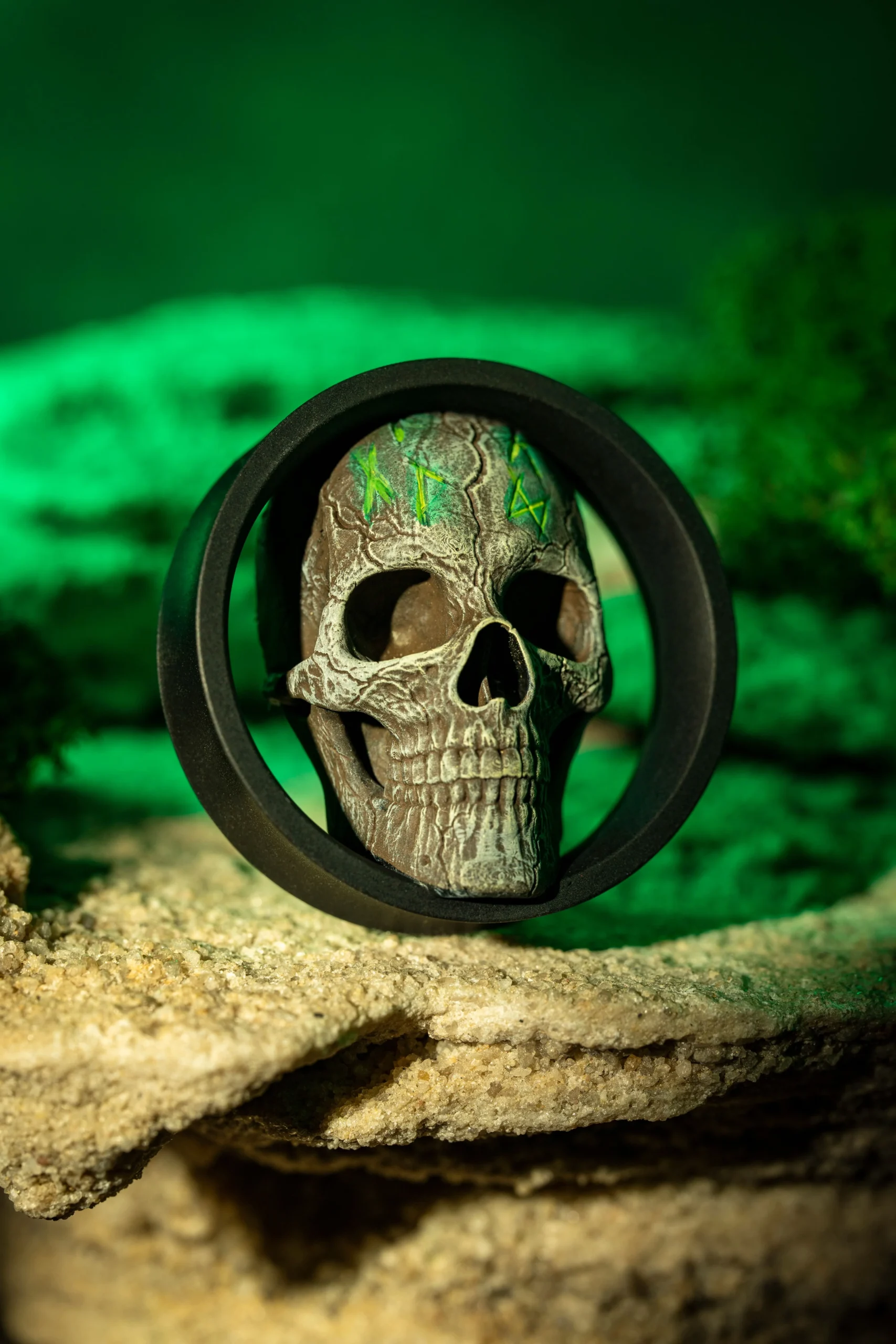 Skull with Runes - Double Flared Ear Plugs - Image 3