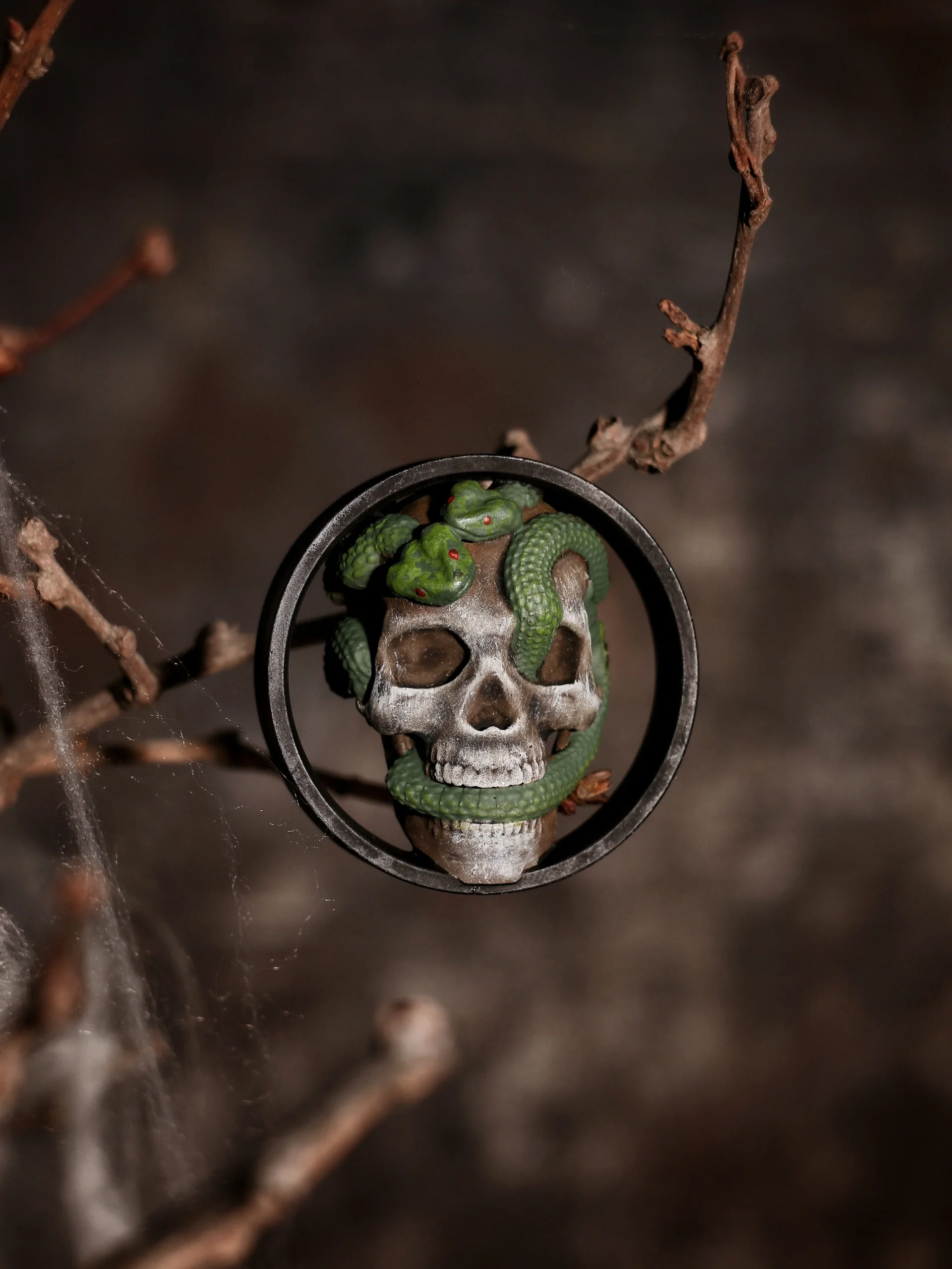 Skull and Snakes - Double Flared Ear Plugs - Image 2