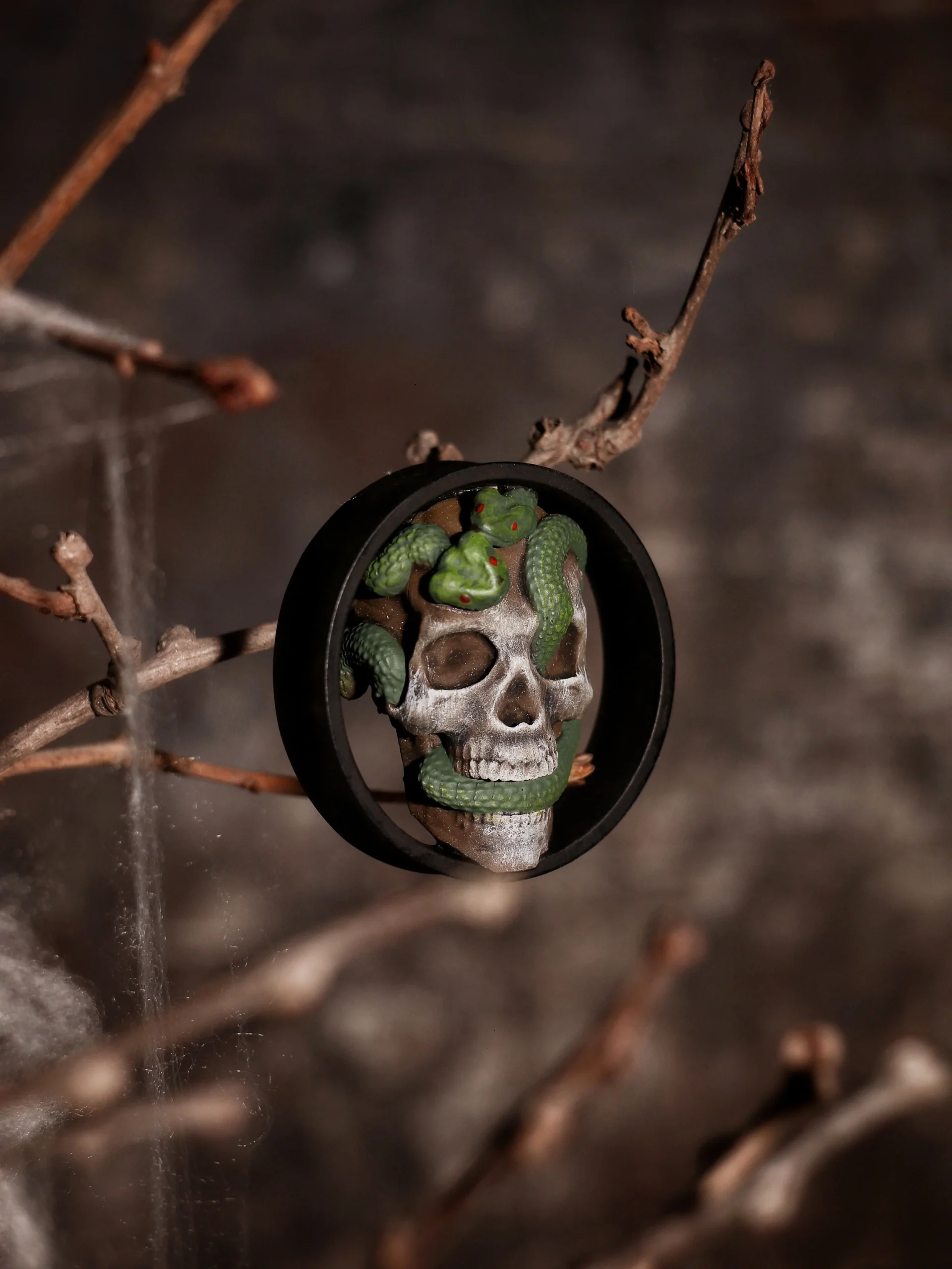 Skull and Snakes - Double Flared Ear Plugs - Image 3