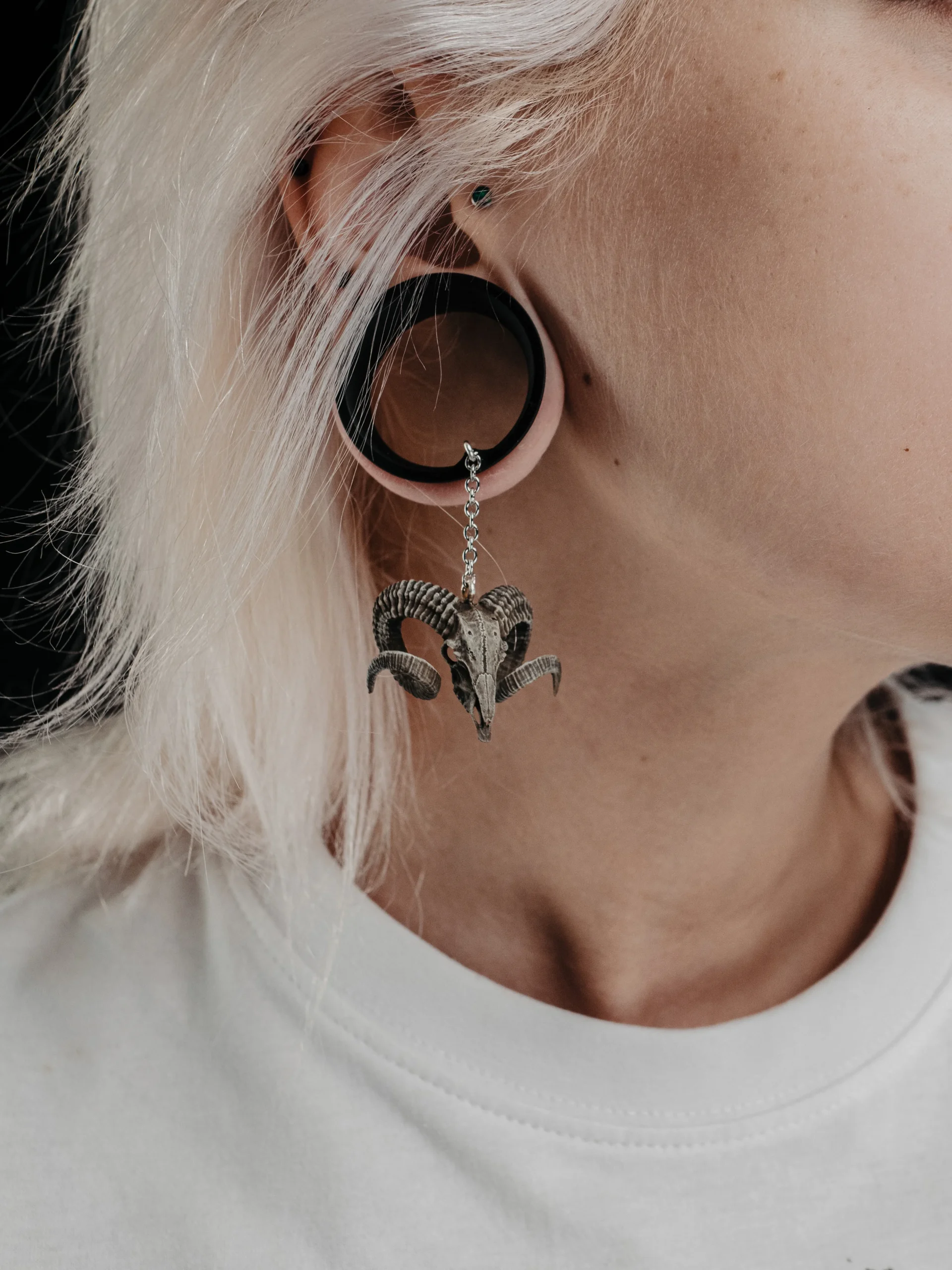Tunnels with dangle Ram Skull - Double Flared - Image 5