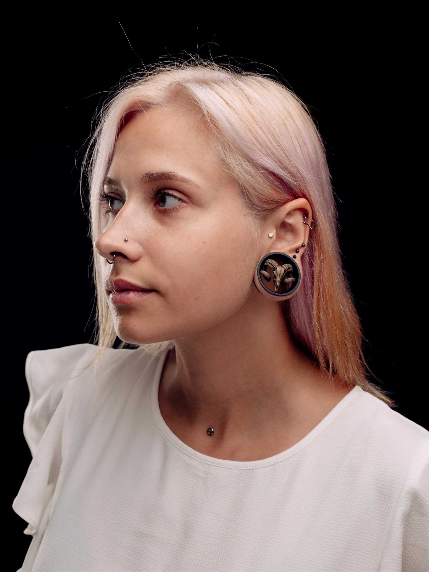 Ram Skull - Double Flared Ear Plugs - Image 3